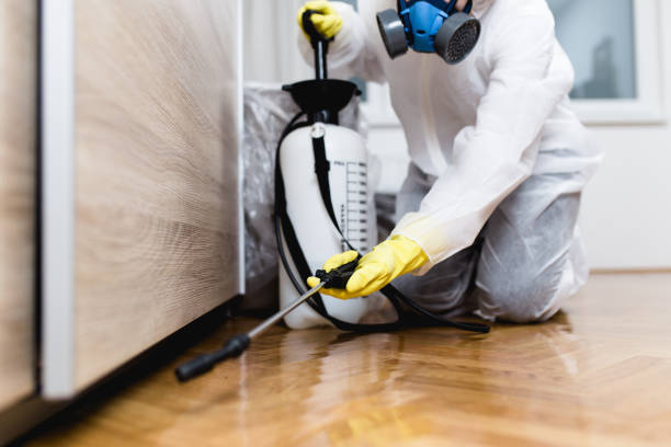 Best Cockroach Control Services  in Salem, IL