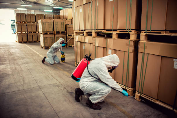 Trusted Salem, IL Pest Control Experts