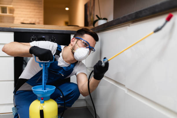 Best Pest Control Near Me  in Salem, IL