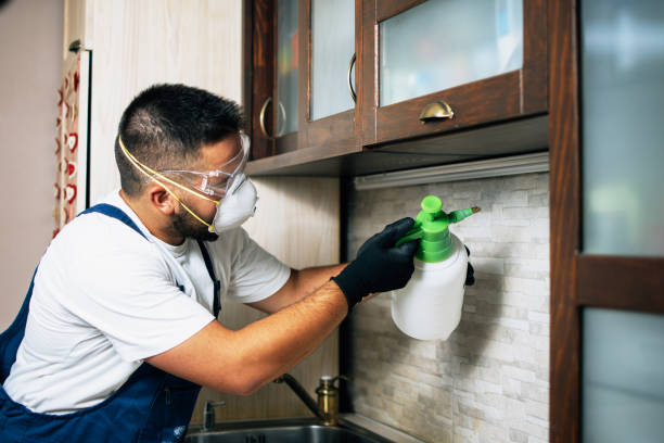 Reliable Salem, IL Pest Control Solutions