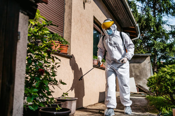 Best Affordable Exterminators  in Salem, IL