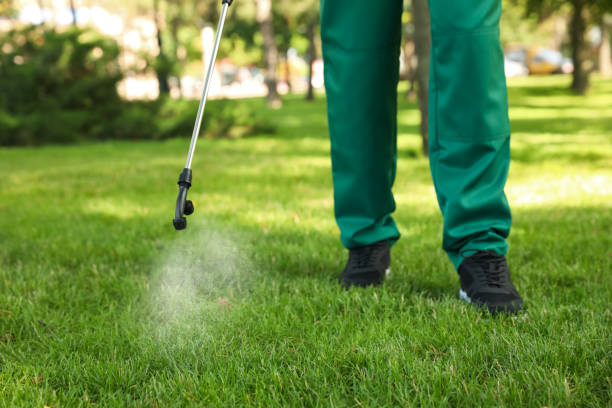 Best Best Pest Control Near Me  in Salem, IL