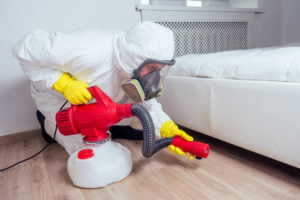 Best Wasp Removal Services  in Salem, IL