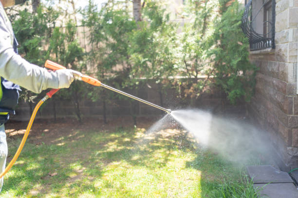 Best Mosquito Control Services  in Salem, IL