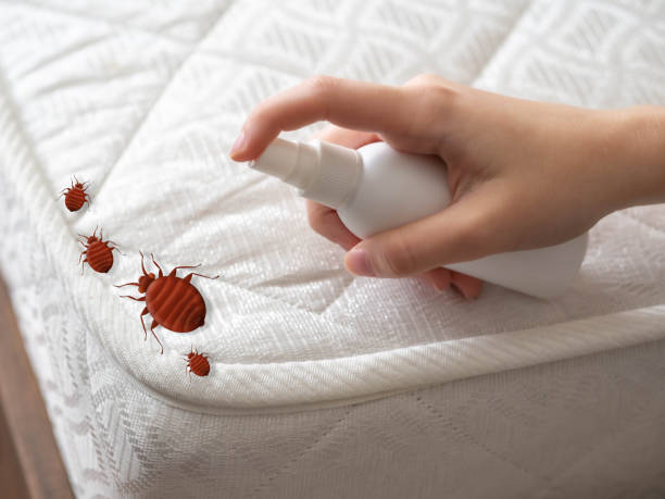Best Residential Pest Control  in Salem, IL