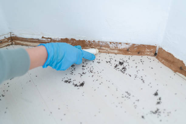 Best Exterminator Services  in Salem, IL